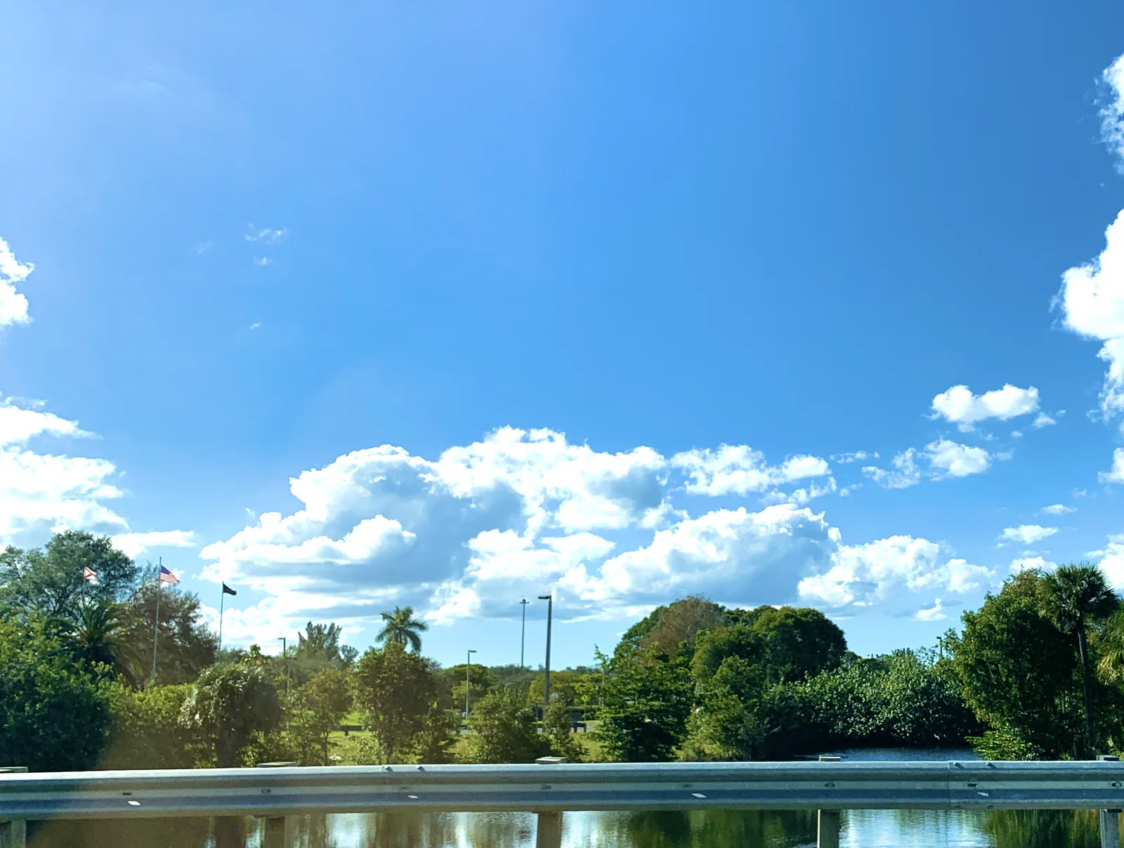 Trees around the lake at C.B. Smith Park in Pembroke Pines.