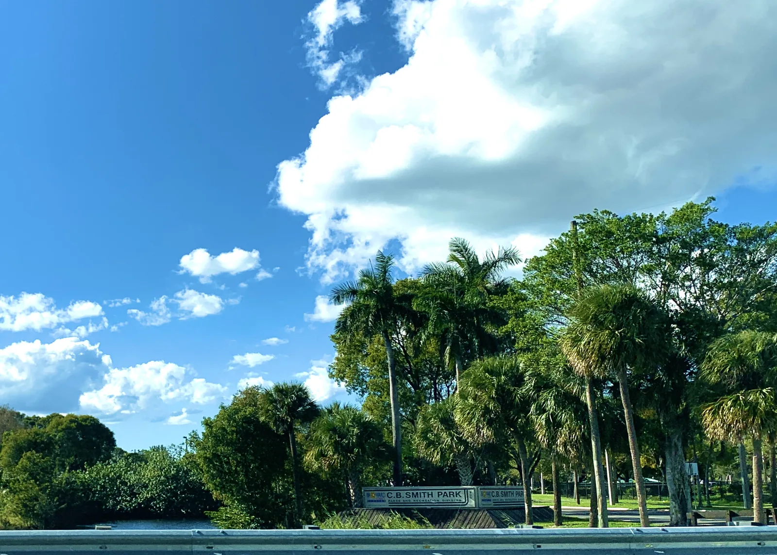 Trees and palms along the lake at C.B. Smith Park in Pembroke Pines.