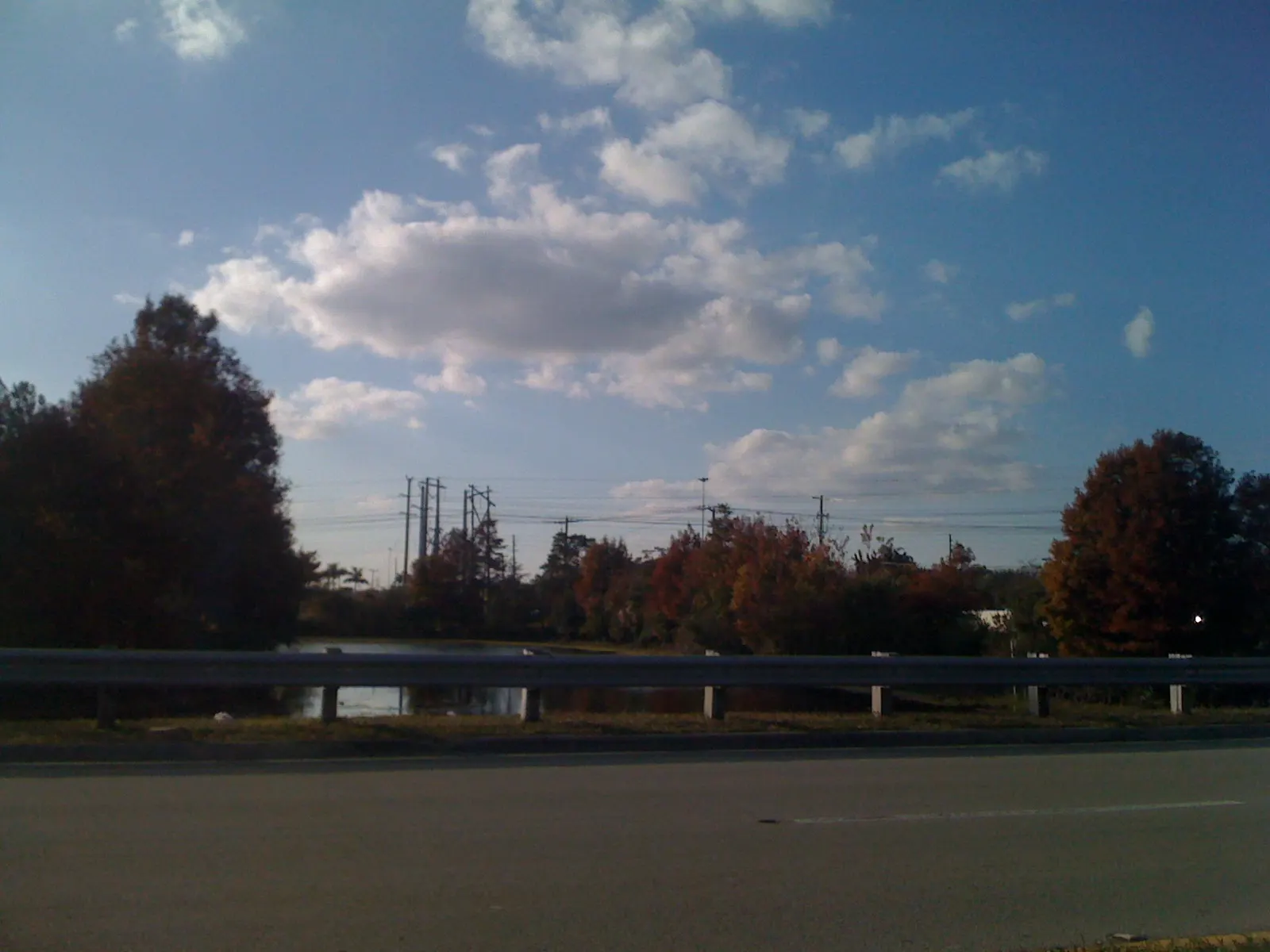 Trees and a lake beside a road in eastern Pembroke Pines.