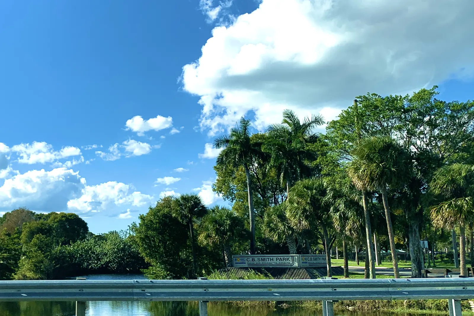 Palms and trees along the lake at C.B. Smith Park in Pembroke Pines.