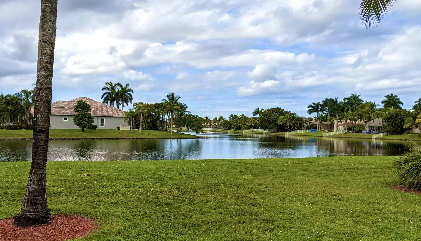 Homes and palms around a lake in Pembroke Falls, a neighborhood in Pembroke Pines.